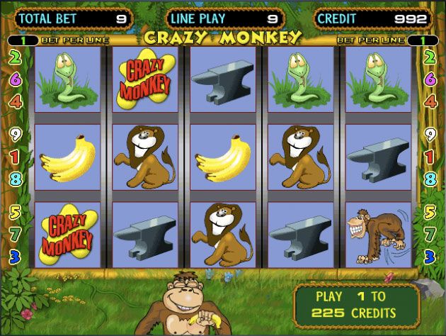 crazy monkey play1