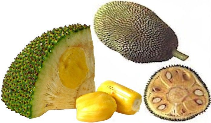 jackfruit