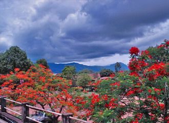 2-Laos