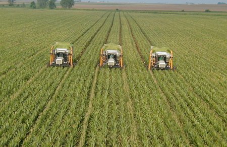 Развитие сельскохозяйственной отрасли в Польше
