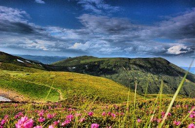 Интересно для туристов: самые экологически чистые страны