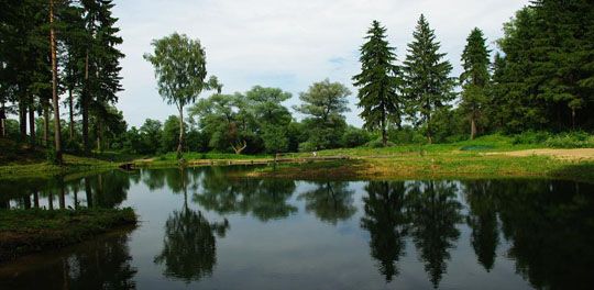 Семейный отдых в Подмосковье