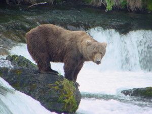 Достопримечательности Камчатки