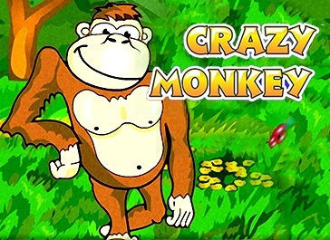 Обзор игрового автомата Crazy Monkey