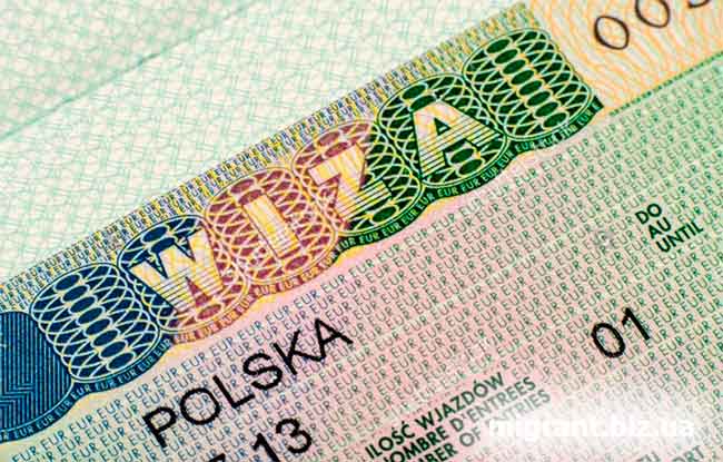 Студентська віза в Польщу: що перевірити перед подачею документів